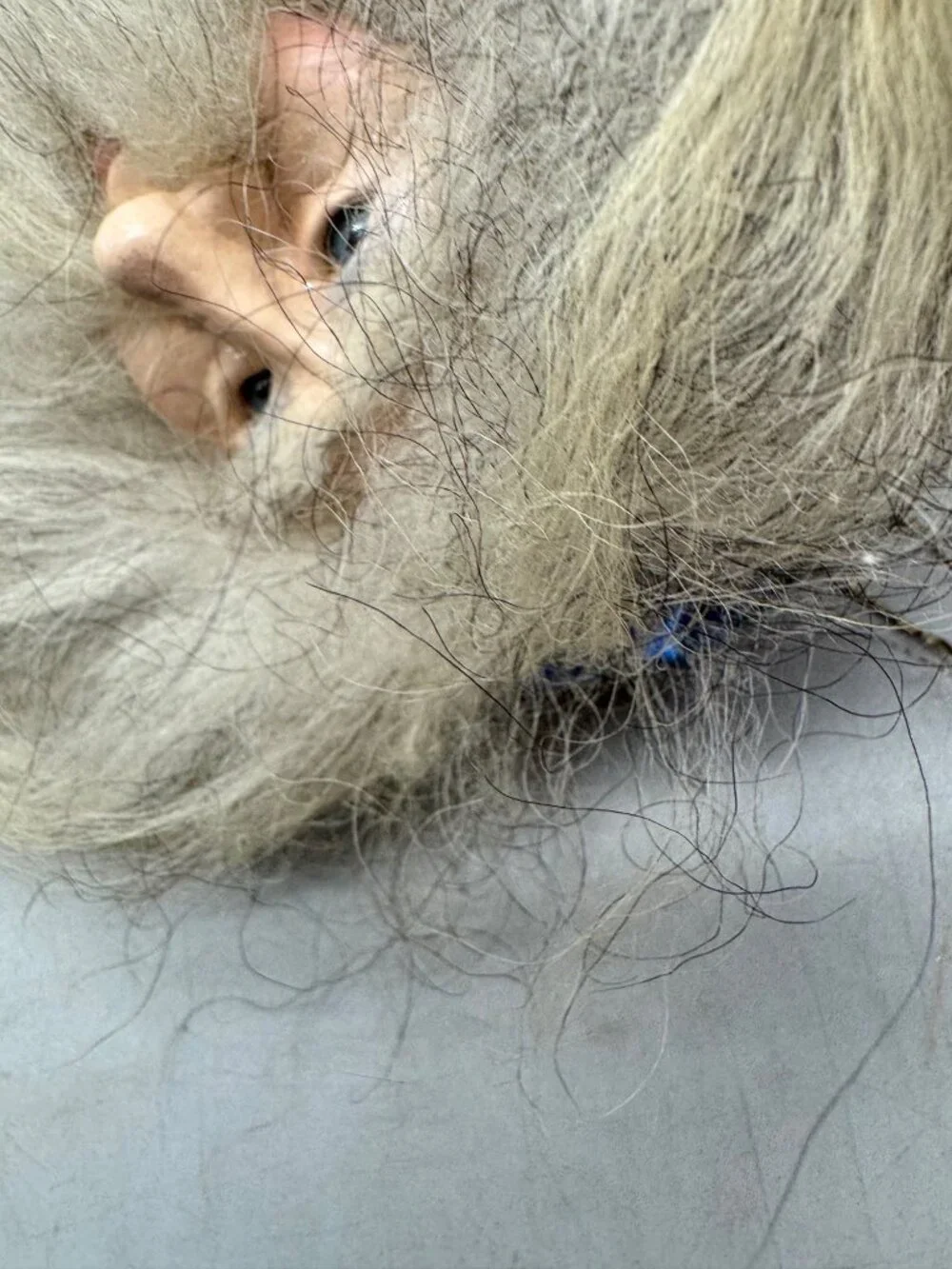 Holiday Santa Claus Handmade Wall Hanging Decoration Faux Fur Beard READ